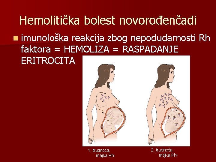 Hemolitička bolest novorođenčadi n imunološka reakcija zbog nepodudarnosti Rh faktora = HEMOLIZA = RASPADANJE