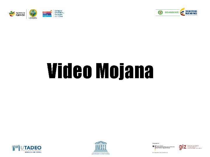 Video Mojana 