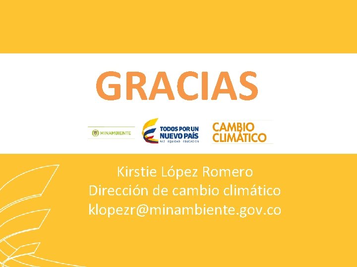 GRACIAS Kirstie López Romero Dirección de cambio climático klopezr@minambiente. gov. co 