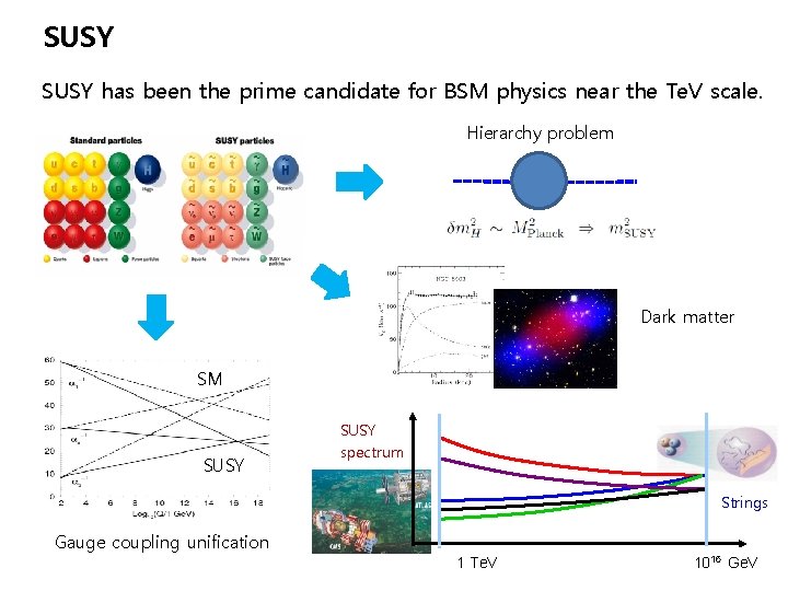 SUSY has been the prime candidate for BSM physics near the Te. V scale.