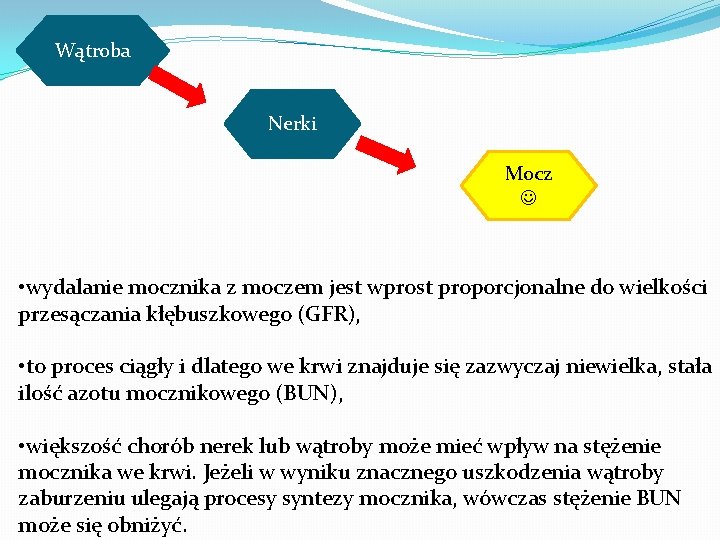 Wątroba Nerki Mocz • wydalanie mocznika z moczem jest wprost proporcjonalne do wielkości przesączania