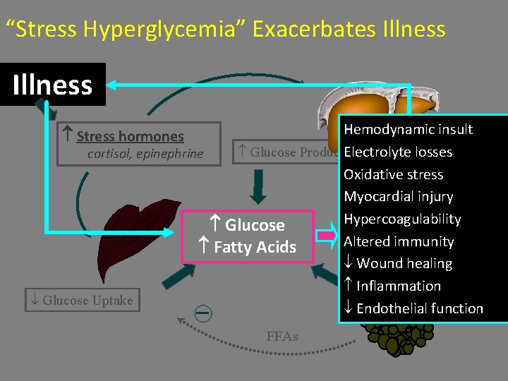 “Stress Hyperglycemia” Exacerbates Illness Hemodynamic insult Glucose Production Electrolyte losses cortisol, epinephrine + Oxidative