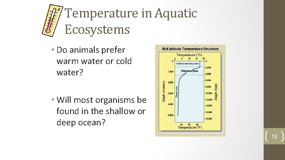 Temperature in Aquatic Ecosystems • Do animals prefer warm water or cold water? •