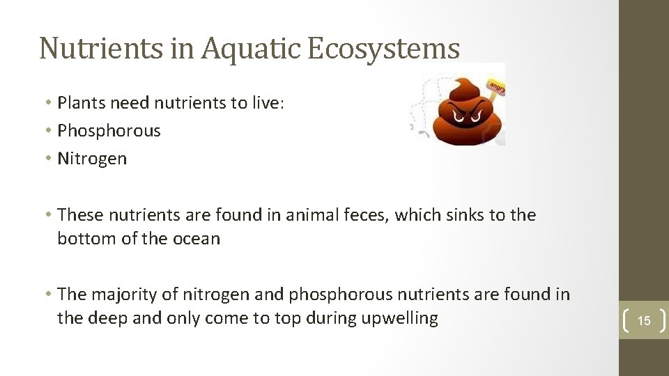 Nutrients in Aquatic Ecosystems • Plants need nutrients to live: • Phosphorous • Nitrogen