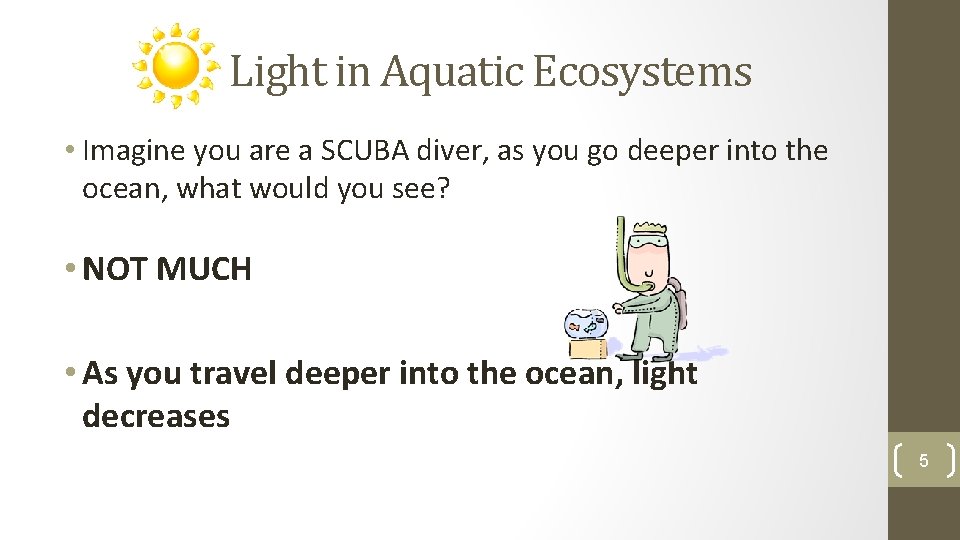 Light in Aquatic Ecosystems • Imagine you are a SCUBA diver, as you go