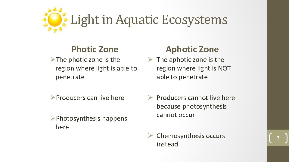 Light in Aquatic Ecosystems Photic Zone Aphotic Zone ØThe photic zone is the region