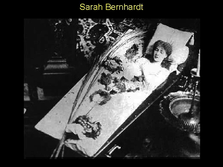 Sarah Bernhardt 