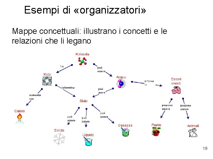 Esempi di «organizzatori» Mappe concettuali: illustrano i concetti e le relazioni che li legano