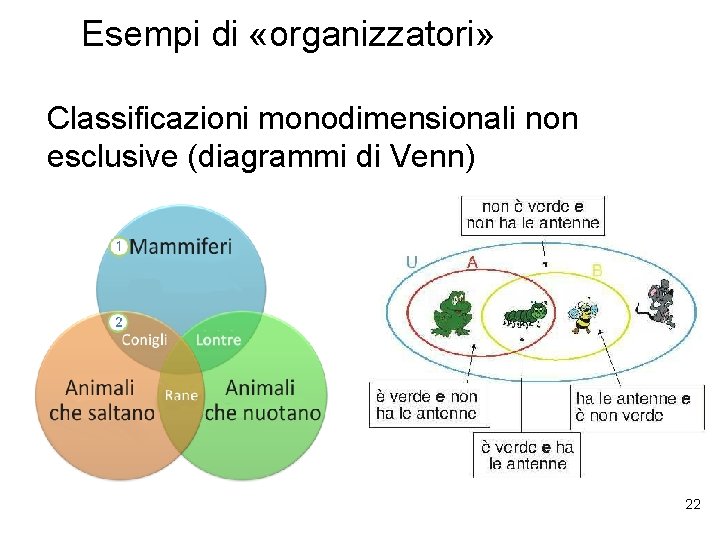 Esempi di «organizzatori» Classificazioni monodimensionali non esclusive (diagrammi di Venn) 22 