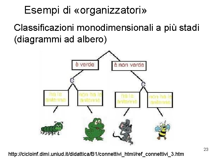 Esempi di «organizzatori» Classificazioni monodimensionali a più stadi (diagrammi ad albero) http: //cicloinf. dimi.