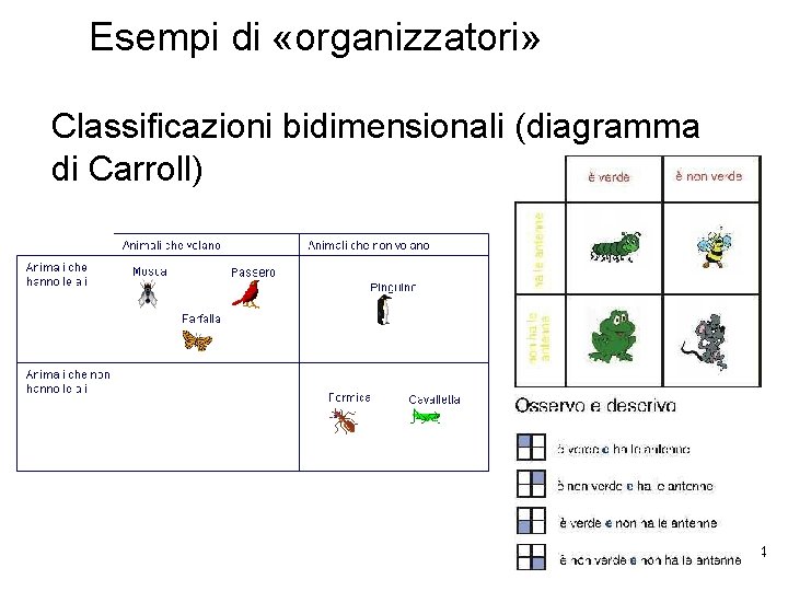 Esempi di «organizzatori» Classificazioni bidimensionali (diagramma di Carroll) 24 