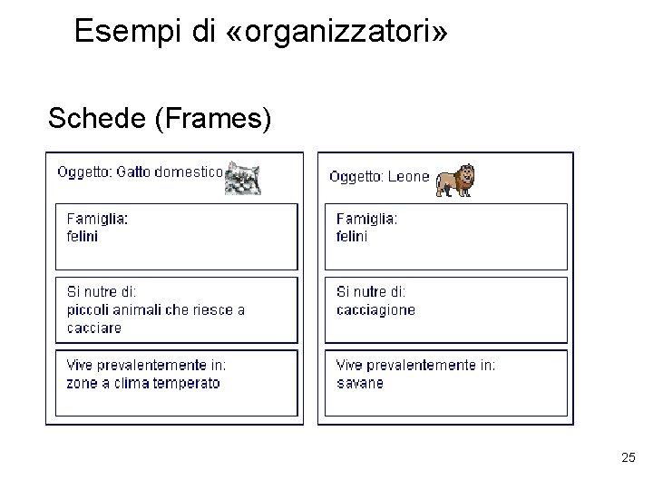 Esempi di «organizzatori» Schede (Frames) 25 