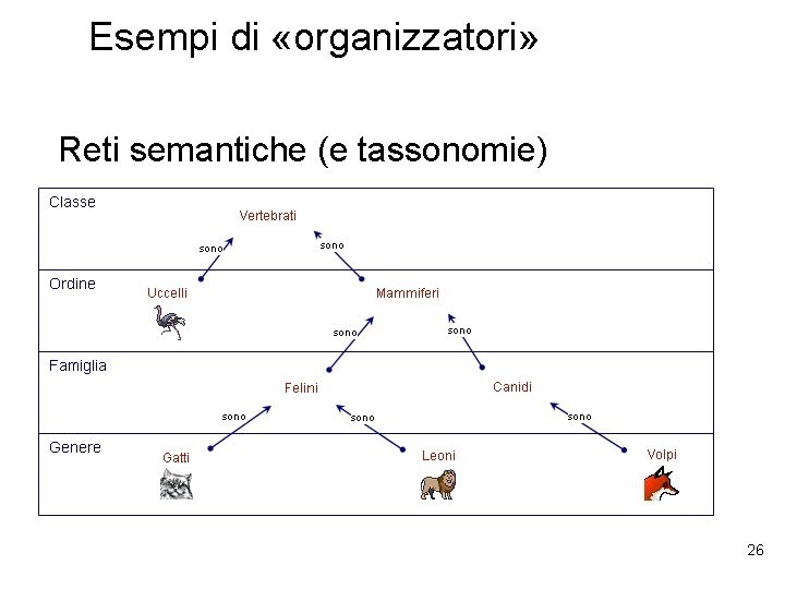 Esempi di «organizzatori» Reti semantiche (e tassonomie) 26 