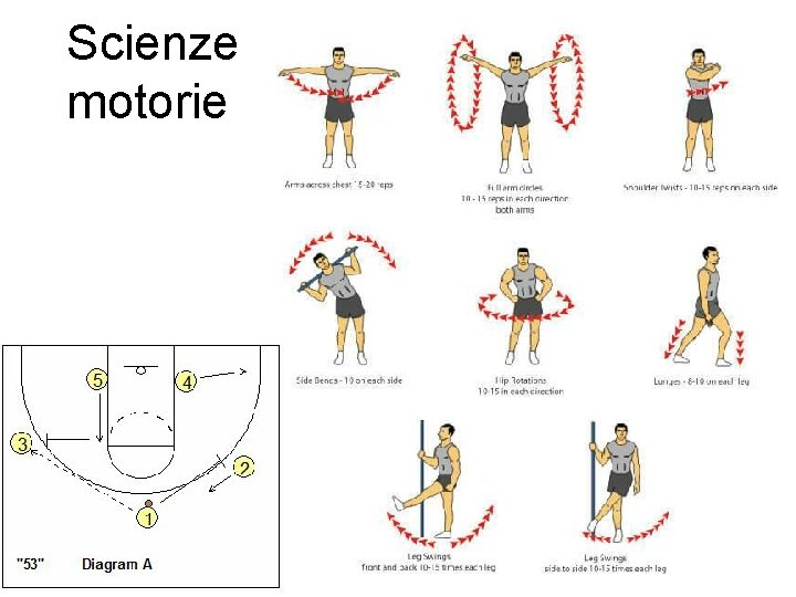 Scienze motorie 57 