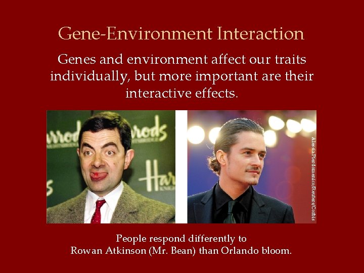 Gene-Environment Interaction Genes and environment affect our traits individually, but more important are their