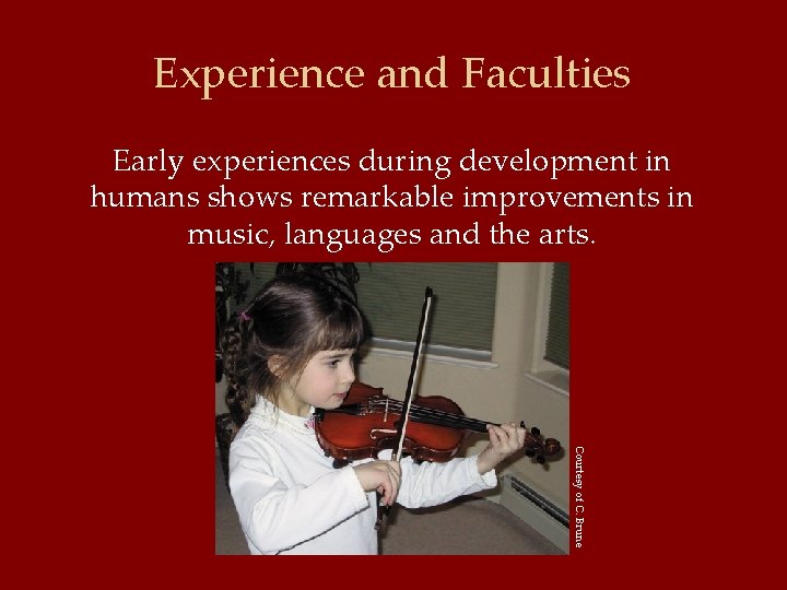 Experience and Faculties Early experiences during development in humans shows remarkable improvements in music,