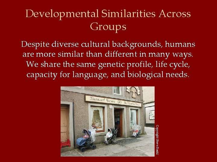 Developmental Similarities Across Groups Despite diverse cultural backgrounds, humans are more similar than different