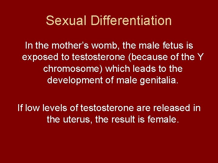 Sexual Differentiation In the mother’s womb, the male fetus is exposed to testosterone (because