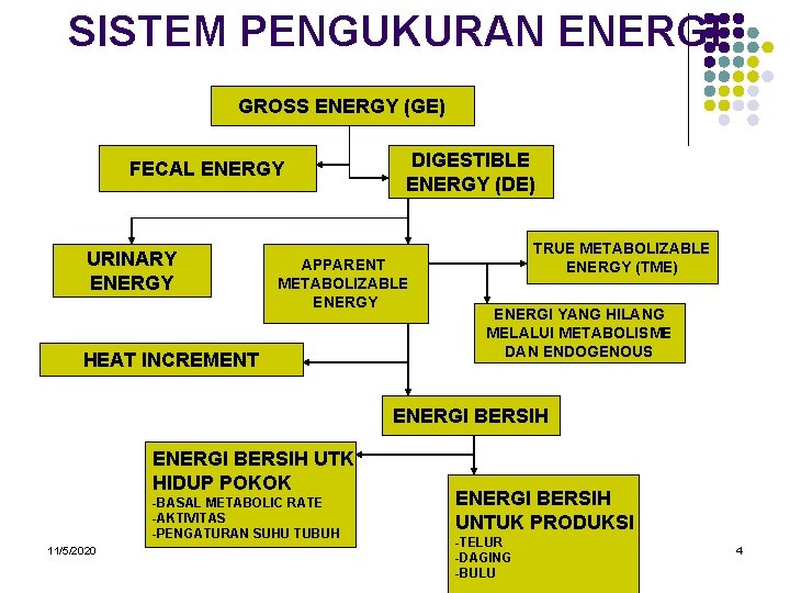 SISTEM PENGUKURAN ENERGI GROSS ENERGY (GE) FECAL ENERGY URINARY ENERGY DIGESTIBLE ENERGY (DE) APPARENT