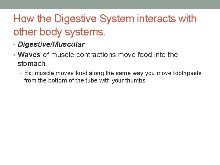 How the Digestive System interacts with other body systems. • Digestive/Muscular • Waves of How the Digestive System interacts with other body systems. • Digestive/Muscular • Waves of