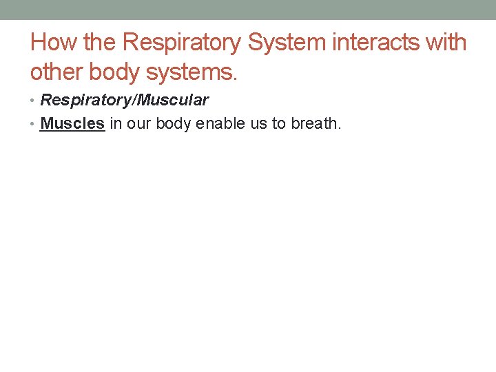 How the Respiratory System interacts with other body systems. • Respiratory/Muscular • Muscles in How the Respiratory System interacts with other body systems. • Respiratory/Muscular • Muscles in