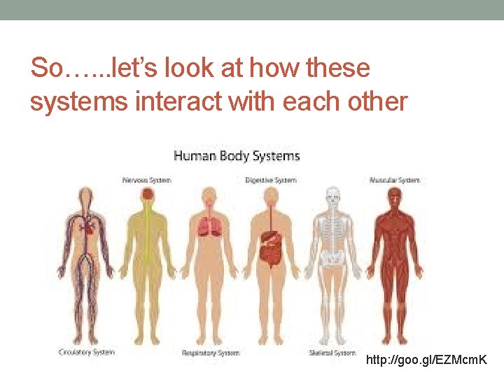 So…. . . let’s look at how these systems interact with each other http: So…. . . let’s look at how these systems interact with each other http: