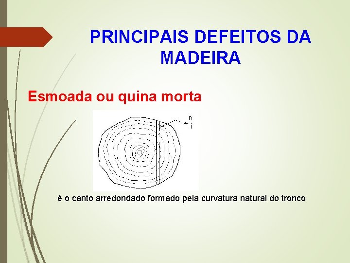 PRINCIPAIS DEFEITOS DA MADEIRA Esmoada ou quina morta é o canto arredondado formado pela