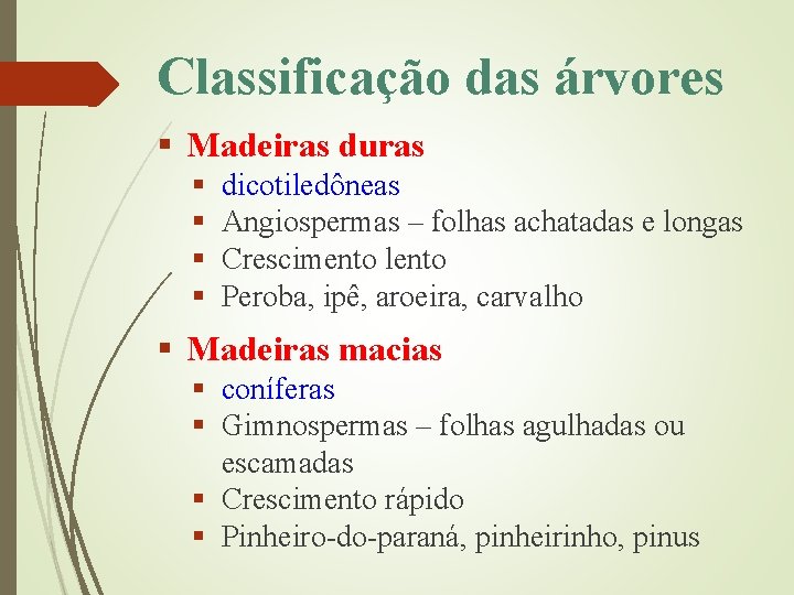 Classificação das árvores § Madeiras duras § § dicotiledôneas Angiospermas – folhas achatadas e