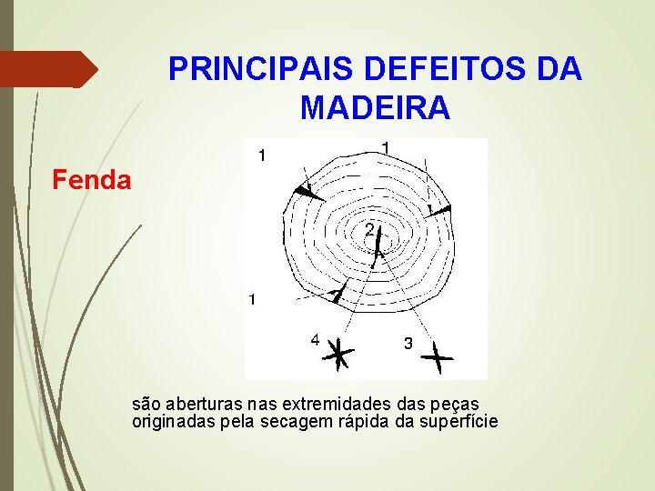 PRINCIPAIS DEFEITOS DA MADEIRA Fenda são aberturas nas extremidades das peças originadas pela secagem