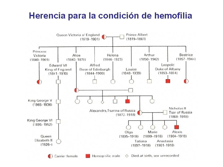 Herencia para la condición de hemofilia 