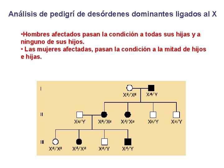 Análisis de pedigrí de desórdenes dominantes ligados al X • Hombres afectados pasan la