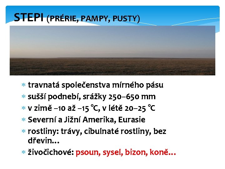 STEPI (PRÉRIE, PAMPY, PUSTY) travnatá společenstva mírného pásu sušší podnebí, srážky 250– 650 mm