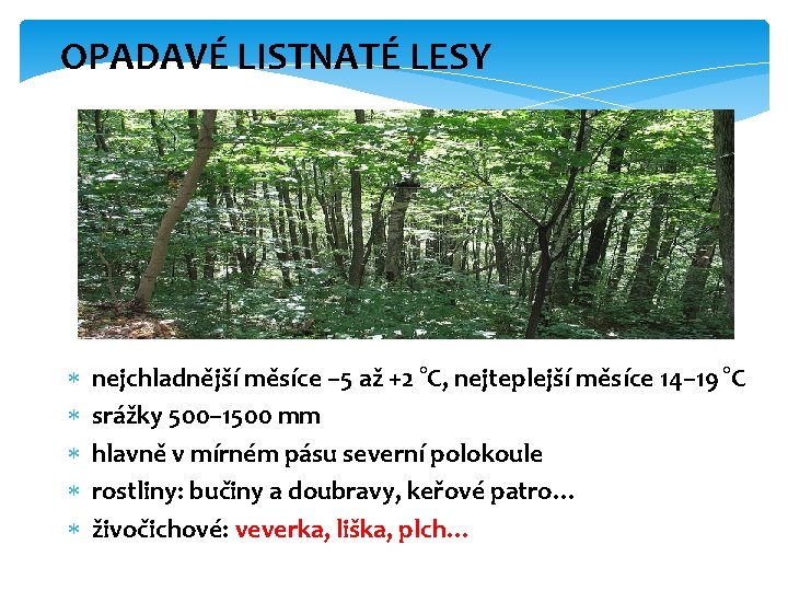 OPADAVÉ LISTNATÉ LESY nejchladnější měsíce – 5 až +2 °C, nejteplejší měsíce 14– 19