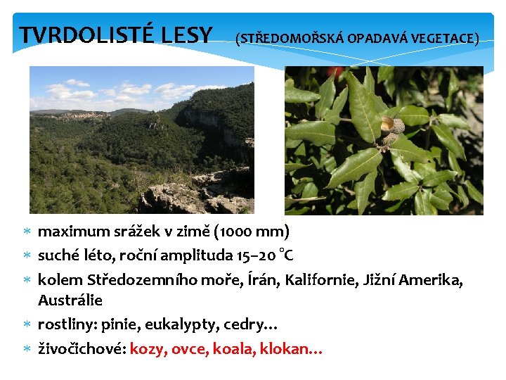 TVRDOLISTÉ LESY (STŘEDOMOŘSKÁ OPADAVÁ VEGETACE) maximum srážek v zimě (1000 mm) suché léto, roční