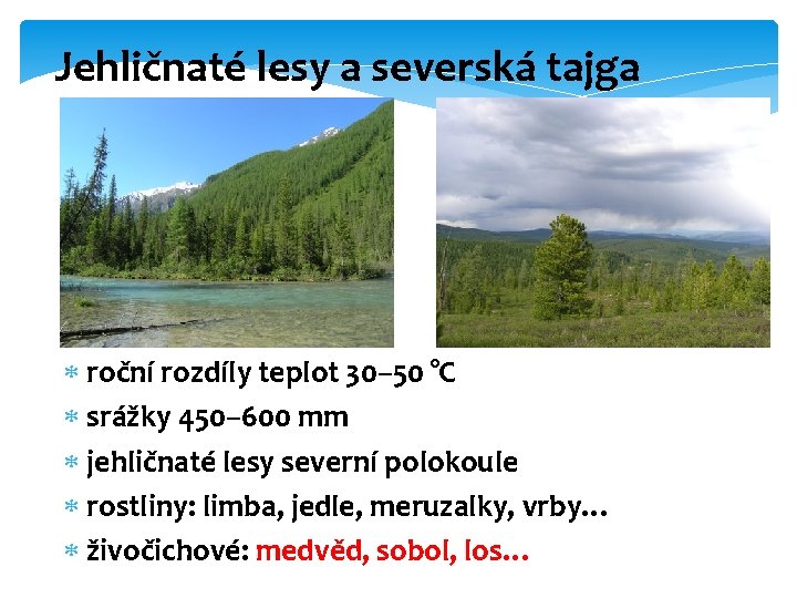 Jehličnaté lesy a severská tajga roční rozdíly teplot 30– 50 °C srážky 450– 600