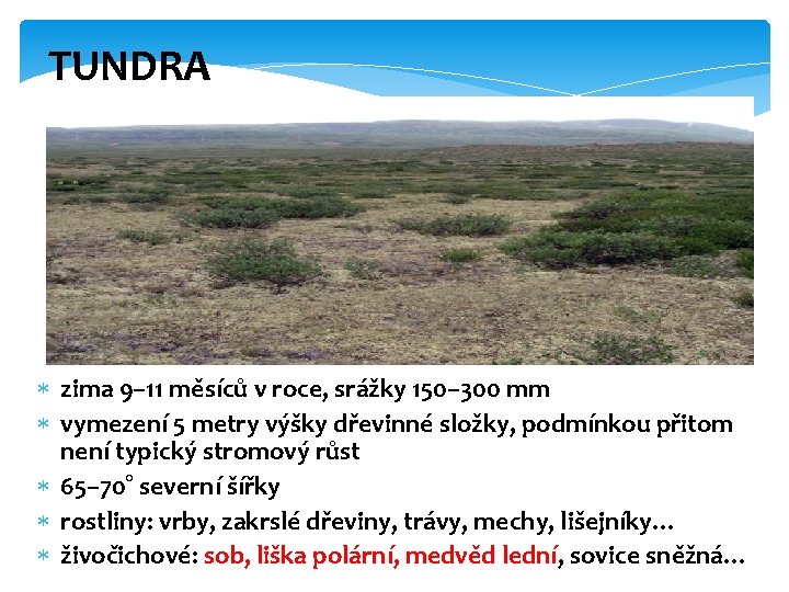 TUNDRA zima 9– 11 měsíců v roce, srážky 150– 300 mm vymezení 5 metry