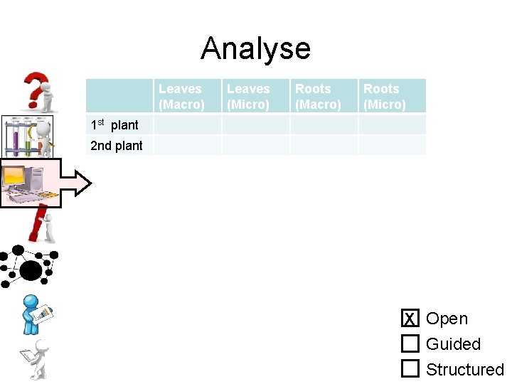 Analyse Leaves (Macro) Leaves (Micro) Roots (Macro) Roots (Micro) 1 st plant 2 nd