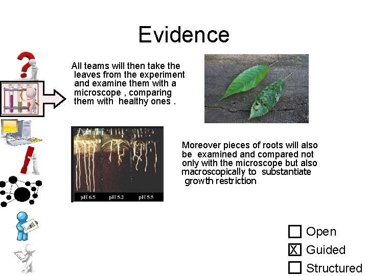 Evidence All teams will then take the leaves from the experiment and examine them