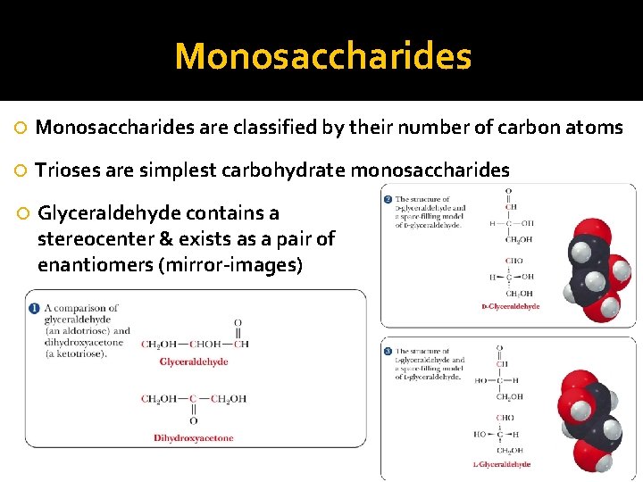 Monosaccharides are classified by their number of carbon atoms Trioses are simplest carbohydrate monosaccharides