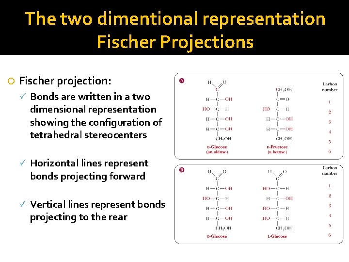 The two dimentional representation Fischer Projections Fischer projection: ü Bonds are written in a