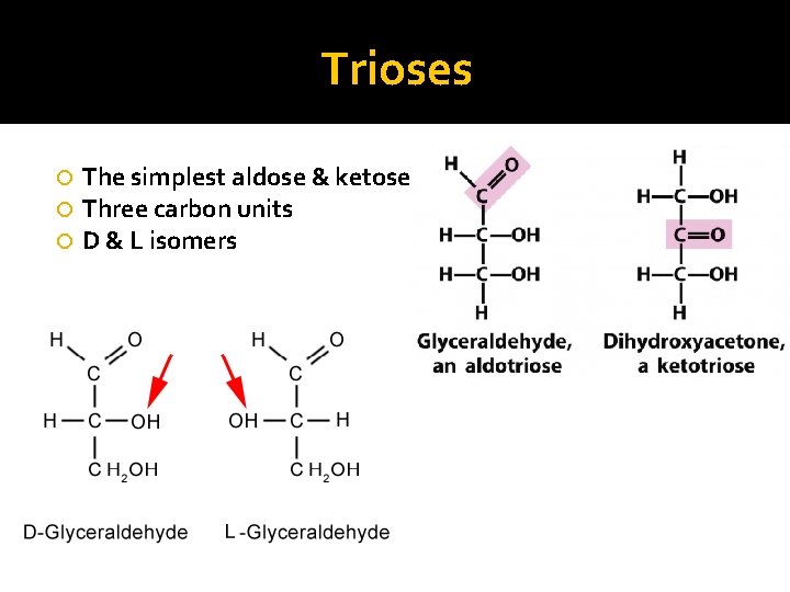 Trioses The simplest aldose & ketose Three carbon units D & L isomers 