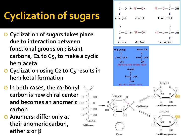 Cyclization of sugars takes place due to interaction between functional groups on distant carbons,