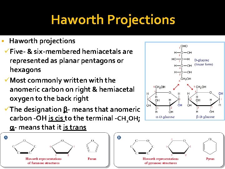 Haworth Projections Haworth projections ü Five- & six-membered hemiacetals are represented as planar pentagons