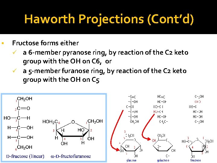 Haworth Projections (Cont’d) Fructose forms either ü a 6 -member pyranose ring, by reaction