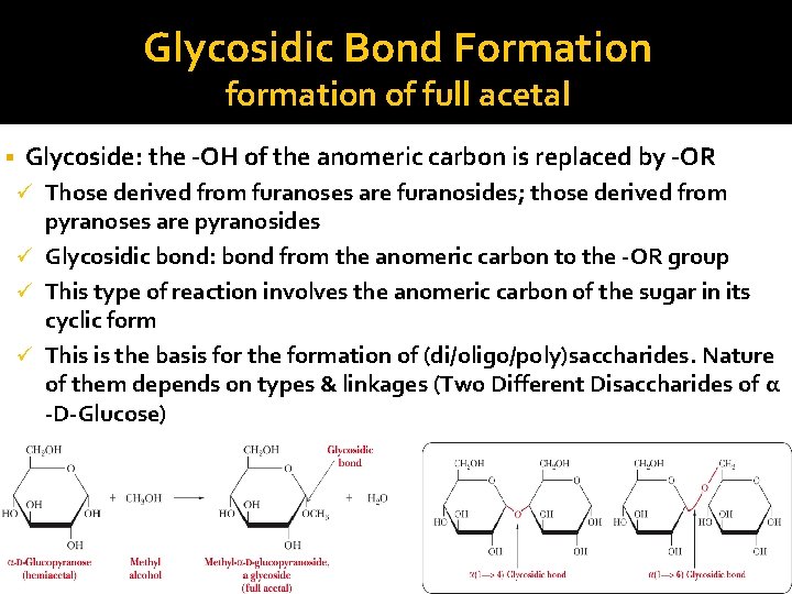 Glycosidic Bond Formation formation of full acetal Glycoside: the -OH of the anomeric carbon
