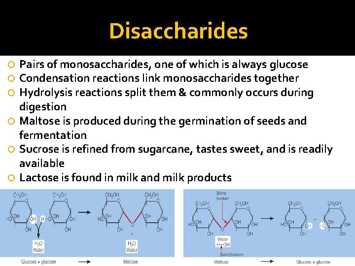 Disaccharides Pairs of monosaccharides, one of which is always glucose Condensation reactions link monosaccharides