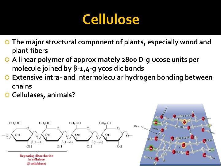 Cellulose The major structural component of plants, especially wood and plant fibers A linear