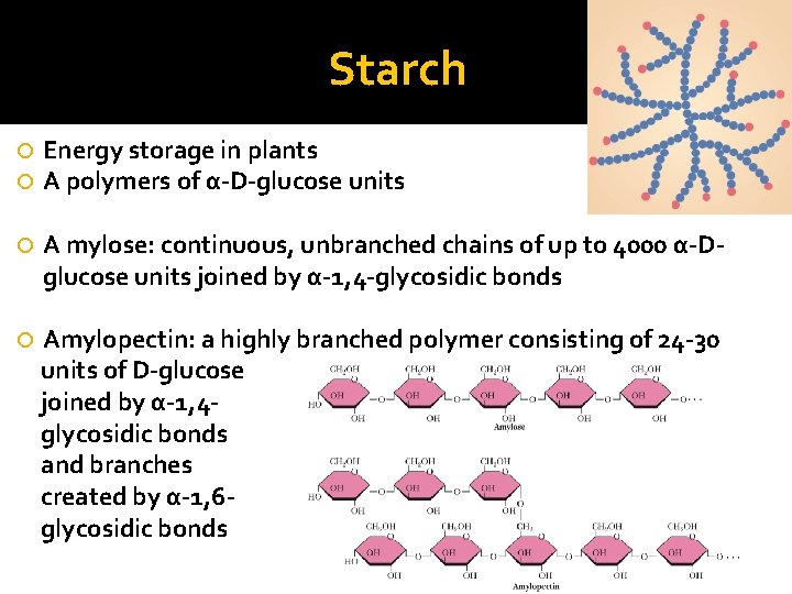 Starch Energy storage in plants A polymers of α-D-glucose units A mylose: continuous, unbranched