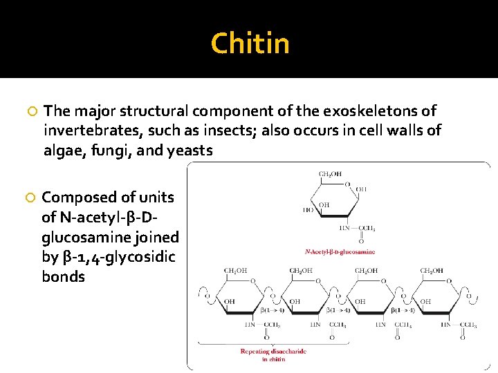 Chitin The major structural component of the exoskeletons of invertebrates, such as insects; also