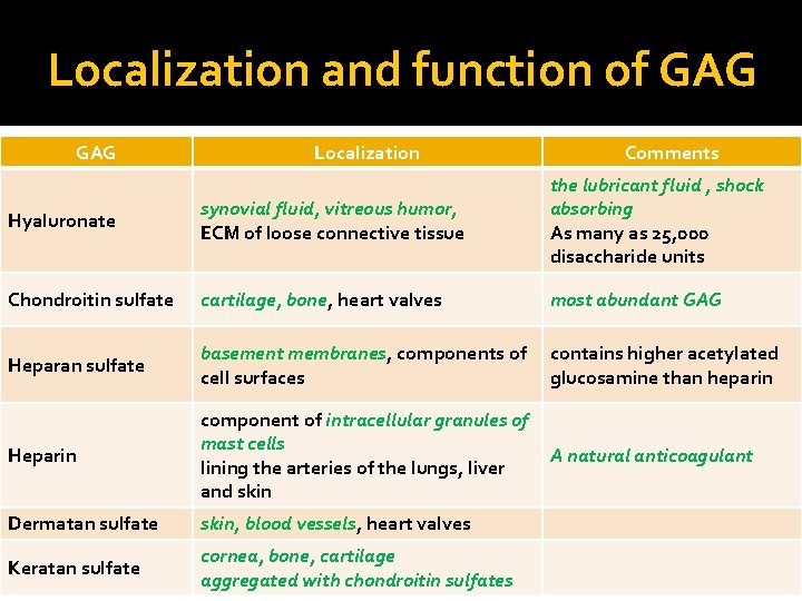 Localization and function of GAG Localization Comments Hyaluronate synovial fluid, vitreous humor, ECM of